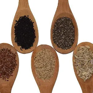 best seeds for protein