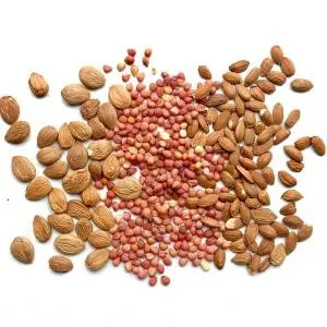 different fruit seeds contain cyanide