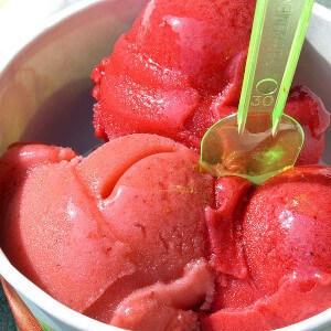 making sorbet in a vitamix