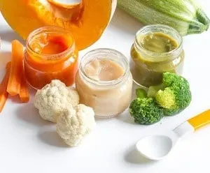 how to make baby food with a vitamix featured