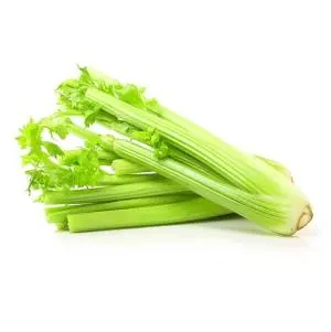 how long does celery last