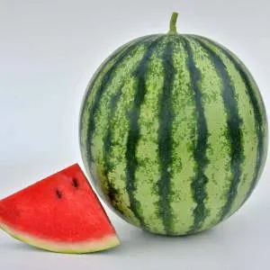 how long does watermelon last