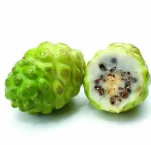 noni fruit indian mulberry