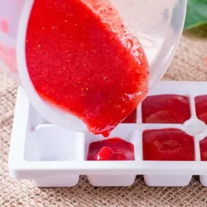 smoothie cubes