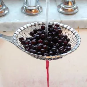 thaw frozen fruit in cold water