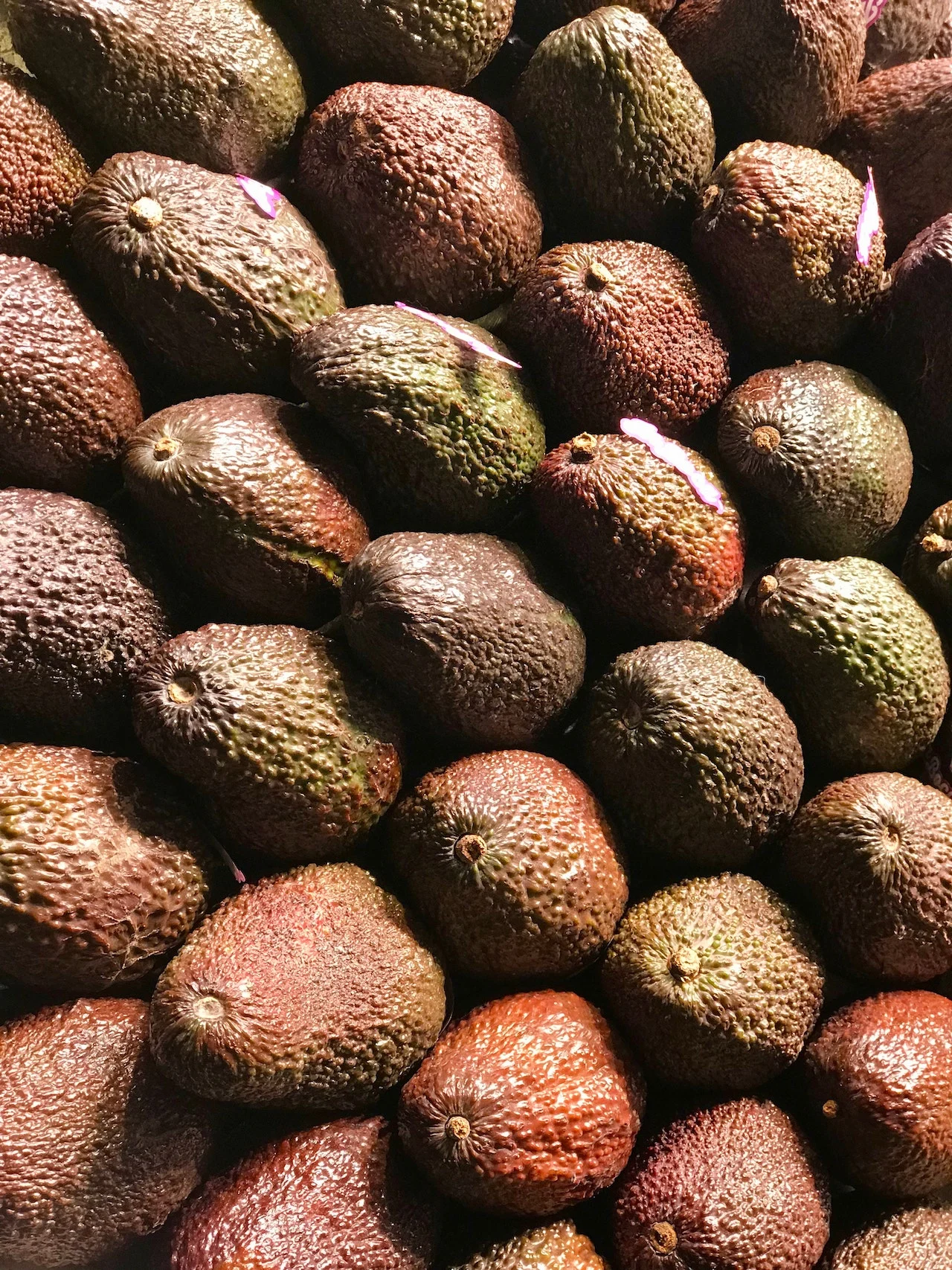 brown-skinned hass avocados filling the frame.